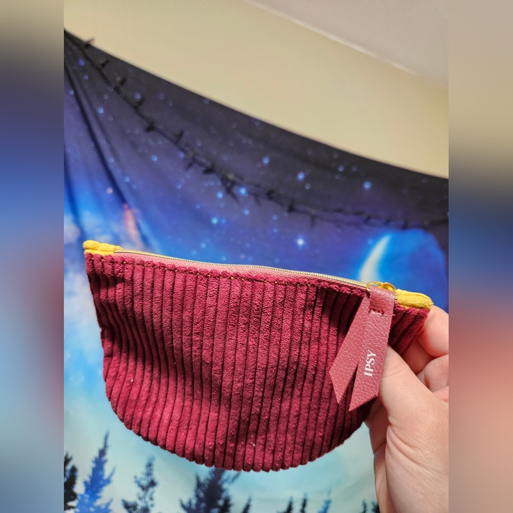 Fall autum colorblock velour ipsy Cosmetic Travel bag